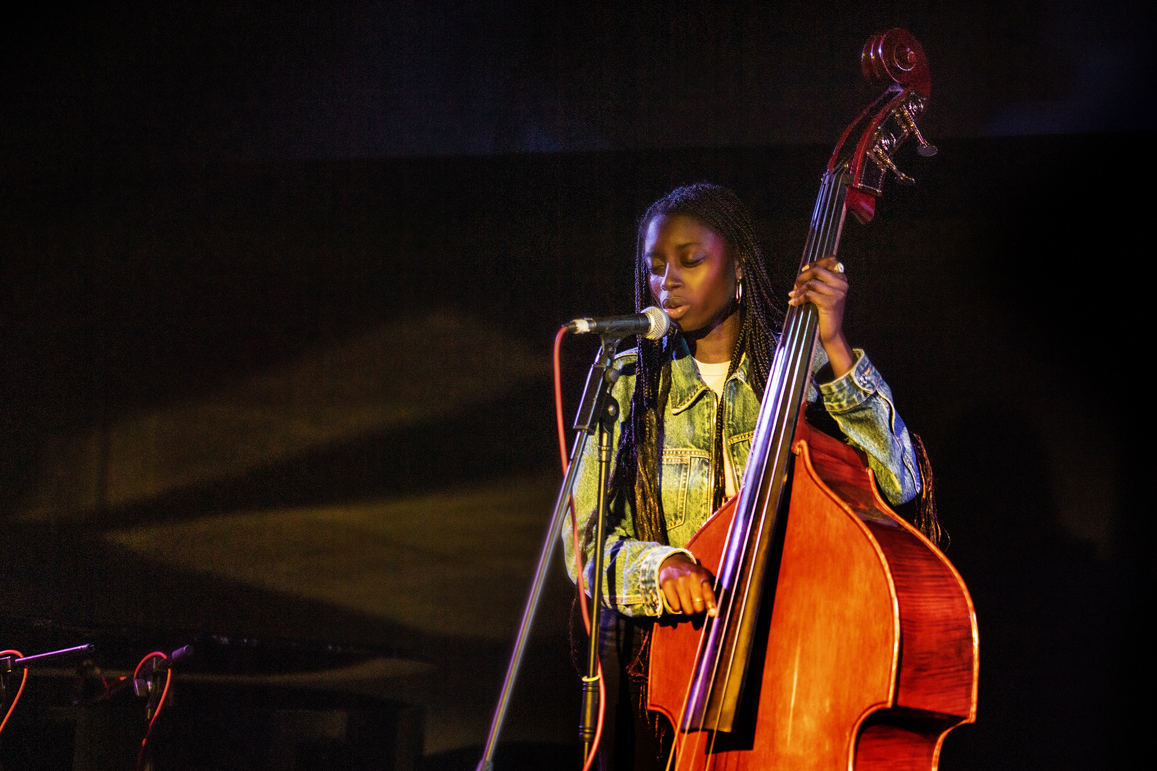 Colour photo of Amy Gadiaga with her double bass
